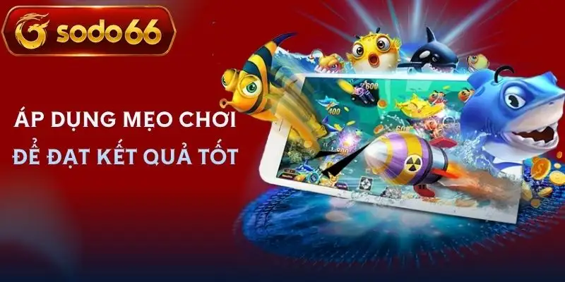 ban ca long vuong sodo66 kinh nghiem choi ban ca long vuong sodo66 kinh nghiem choi